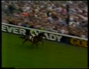 1984年 第205回ダービーステークス(Derby Stakes) セクレト(Secreto)