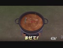 初見実況☆ポケットモンスターソード＃009「ポケモンの森ポケットキャンプ」