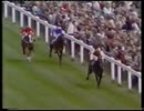 1983年 第204回ダービーステークス(Derby Stakes) ティーノーソ(Teenoso)
