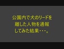 公園内で犬のリードを離した人物を通報してみた結果・・・。