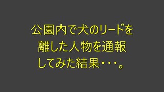 公園内で犬のリードを離した人物を通報してみた結果・・・。