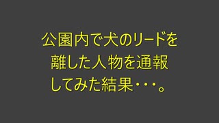 公園内で犬のリードを離した人物を通報してみた結果・・・。