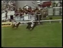 1978年 第199回ダービーステークス(Derby Stakes) シャーリーハイツ(Shirley Heights)