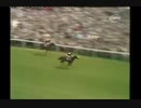 1971年 第192ダービーステークス(Derby Stakes) ミルリーフ(Mill Reef)