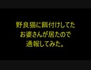 野良猫に餌付けしてたお婆さんが居たので通報してみた。
