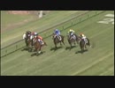 2007年 ジョージライダーステークス(George Ryder Stakes)ハラダサン(Haradasun)