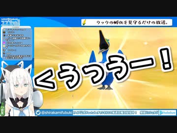 【ポケ剣盾】ウッウが好きすぎる白上フブキの鳴き声ひたすらまとめ