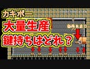 生産されすぎて本物がどれか分からないステージｗ[マリオメーカー2]