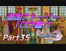 [実況]なにもかもレベルがあがったドラゴンクエストXI 過ぎ去りし時を求めてS part35