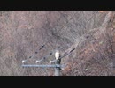 クマタカ鳴き声1