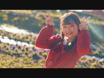 【はる＊】恋の2-4-11 踊ってみた