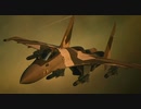 【エースコンバット7】 SPmission3 Ten Million Relief Plan【Su-35S】