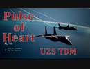 Ace Combat 7 Multiplayer483 チームデスマッチ Su-57 + PLSL