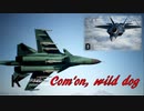 Ace Combat 7 Multiplayer484 バトルロイヤル Su-34 + HCAA