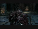 【Bloodborne実況】ヤーナムの血の夜を絶叫ハンターが「い」く part15