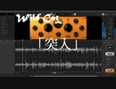 【創作】【オリジナルボイドラ】Wild Cat 「突入」【オリジナルBGM】