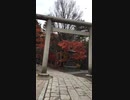 [旅行]松本市･四柱(よはしら)神社の紅葉を見るだけの30秒