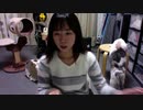 【猫の多頭飼い】ねこ姉さんふじ子のおしゃべり報告会 2019.11.27