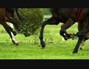 stock-footage-super-slow-motion-shot-of-running-horses-at-fps　宮木健二