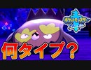ポケモンのタイプを暴く名推理！？【ポケットモンスターソード Part14】