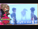【ポケモン】りっちみんのポケットモンスター ソード・シールド #2【Switch】