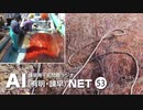 諫早湾干拓問題ラジオAIネット 第53回「島原での漁と海の異変」ゲスト：中田猶喜さん（島原漁協、有明海漁民・市民ネットワーク副代表）