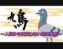 鳩　～人間から餌貰わない鳥は馬鹿～