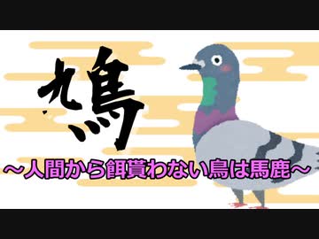 鳩　～人間から餌貰わない鳥は馬鹿～