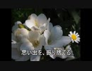 未来依存（時間＝贈り物）　#ボカロ　#初音ミク　#オリジナル曲　#新曲