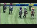 2011年 第35回 セクレタリアトステークス (Secretariat Stakes)トレジャービーチ(Treasure Beach)