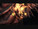 【レベル544】右手武器使用禁止で三周目ボス攻略【Bloodborne】　13