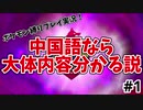 【ポケモン盾実況#1】中国語縛りプレイが思ったより分からな過ぎた
