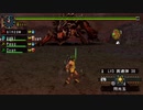 【防具なし】エターナルアカムトルム J【モンスターハンターポータブル2ndG】
