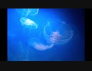 【ニコラップ】深海【猫背の神様】