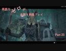 【Remnant】英語力ゼロが手探り初見プレイ　Part25