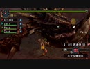 【防具なし】エターナルアカムトルム N【モンスターハンターポータブル2ndG】