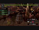 【防具なし】エターナルアカムトルム P【モンスターハンターポータブル2ndG】