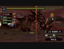 【防具なし】エターナルアカムトルム Q【モンスターハンターポータブル2ndG】