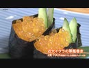 「近大イクラ」も登場　大学が養殖魚開発に