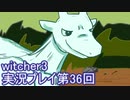 探し人を求めてwitcher3実況プレイ第36回