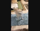 回転めし