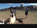 ポクポク百景モグモグ旅 #1 南羽諒・山本望叶