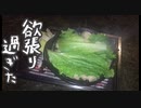 レタスと手羽先と〆の雑炊