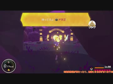 幻の健康ゲーム『リングフィットアドベンチャー』垂れ流し その13