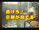 生肌人妻系YuTuberの陰に旦那の影・・・