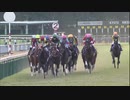 【競馬】第44回 エリザベス女王杯 (G1) 2019