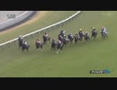 【競馬】第36回 マイルチャンピオンシップ (G1) 2019