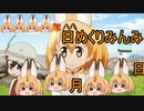 けものフレンズ２　2019年11月29日きんようび【日めくりみんみ】