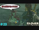 【続編決定記念】のんびりと伝説「ゼルダの伝説～ブレスオブザワイルド～」　＃23