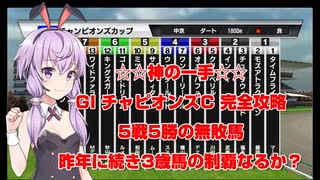 【競馬に人生賭けた VOICEROID実況】チャンピオンズカップ 完全攻略